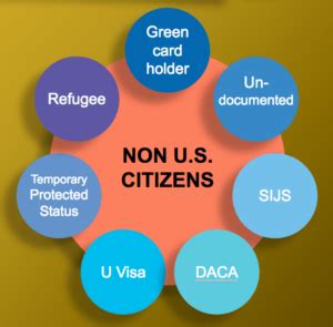 Non Citizen but Permanent Resident applying for R PAL .